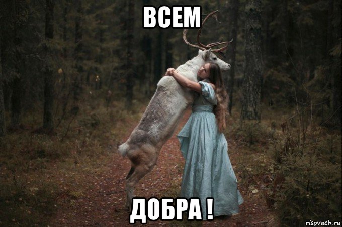 всем добра !