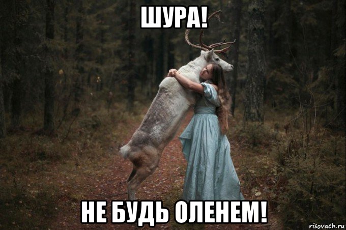 шура! не будь оленем!