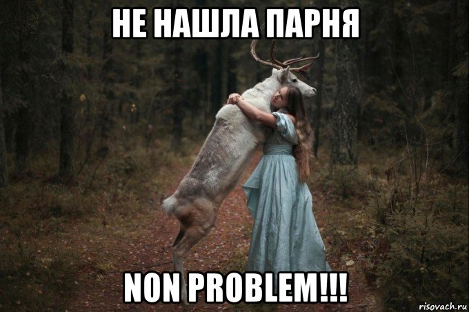 не нашла парня non problem!!!, Мем Наивный Олень шаблон 5