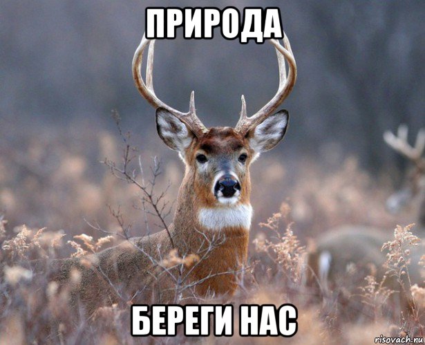 природа береги нас