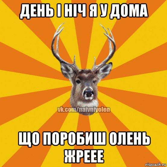 день і ніч я у дома що поробиш олень жреее, Мем Наивный Олень вк