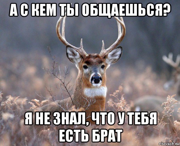 а с кем ты общаешься? я не знал, что у тебя есть брат