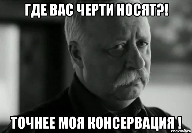 где вас черти носят?! точнее моя консервация !, Мем Не расстраивай Леонида Аркадьевича