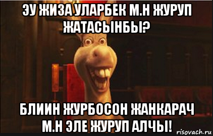 эу жиза уларбек м.н журуп жатасынбы? блиин журбосон жанкарач м.н эле журуп алчы!, Мем Осел из Шрека