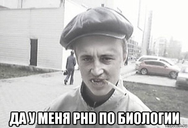  да у меня phd по биологии, Мем Пацанська философия