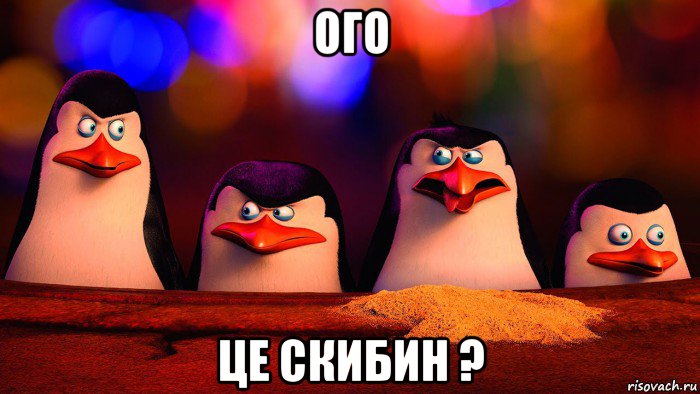 ого це скибин ?