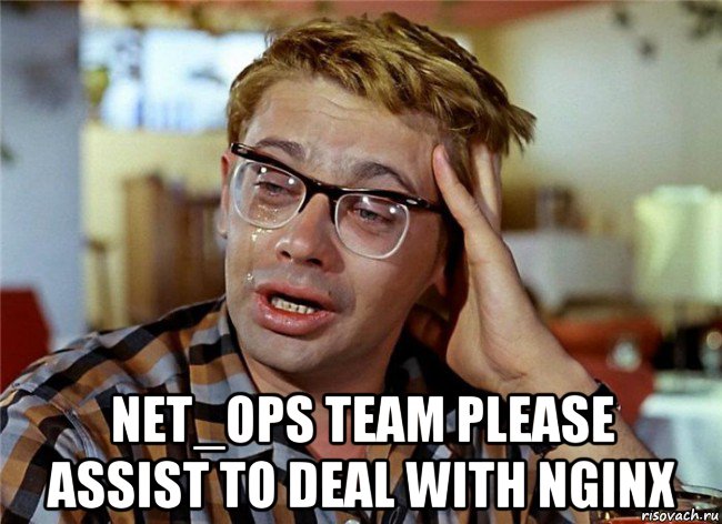  net_ops team please assist to deal with nginx, Мем Птичку жалко