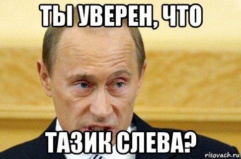 ты уверен, что тазик слева?, Мем путин