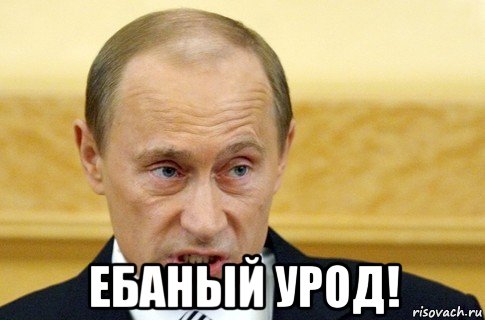  ебаный урод!, Мем путин