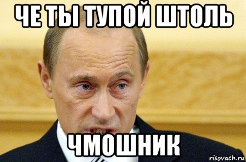 че ты тупой штоль чмошник, Мем путин