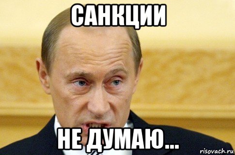 санкции не думаю..., Мем путин