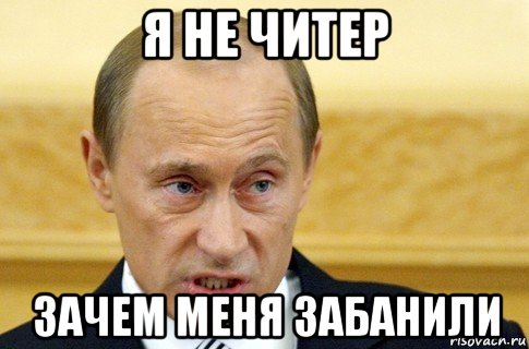 я не читер зачем меня забанили, Мем путин