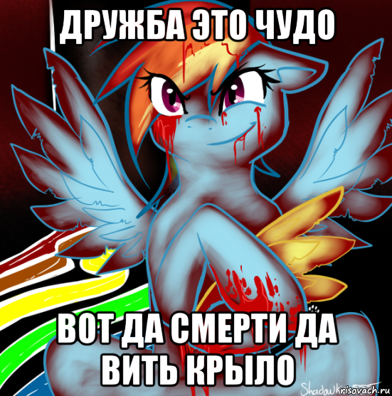 дружба это чудо вот да смерти да вить крыло, Мем RAINBOW FACTORY DASH