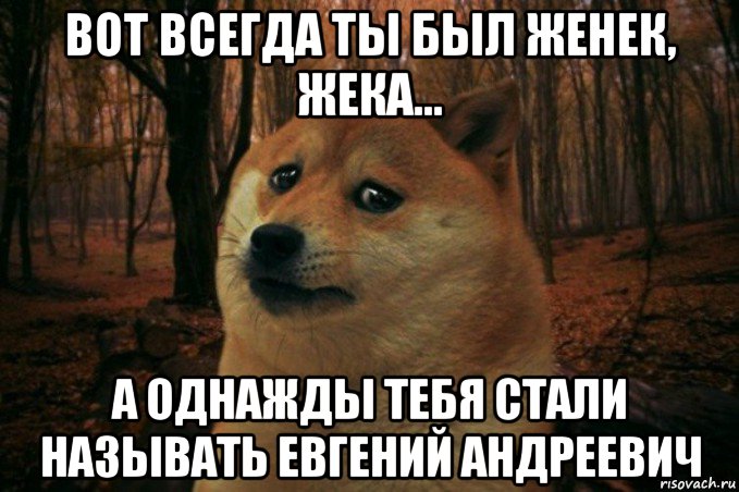 вот всегда ты был женек, жека... а однажды тебя стали называть евгений андреевич, Мем SAD DOGE