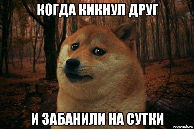 когда кикнул друг и забанили на сутки, Мем SAD DOGE