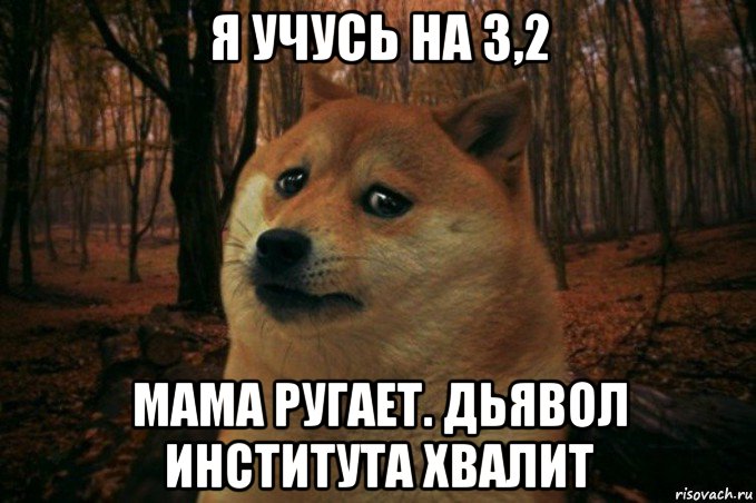 я учусь на 3,2 мама ругает. дьявол института хвалит, Мем SAD DOGE