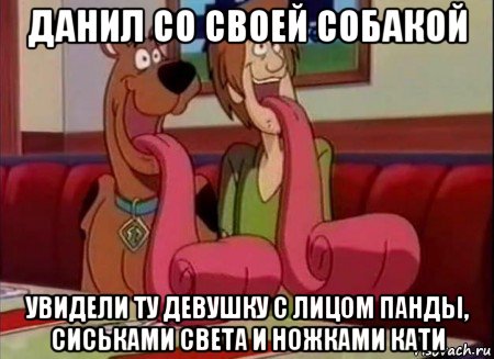 данил со своей собакой увидели ту девушку с лицом панды, сиськами света и ножками кати, Мем Скуби ду