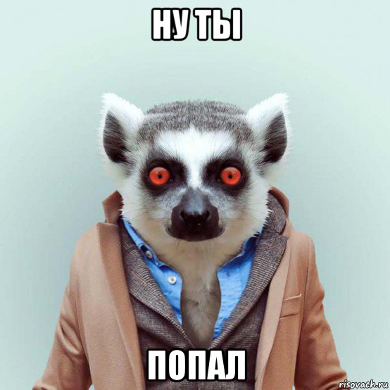 ну ты попал