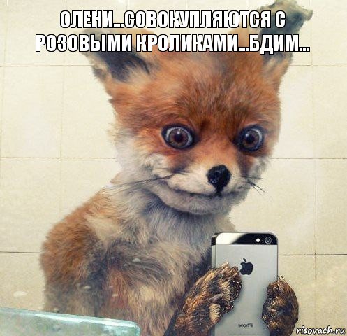 Олени...совокупляются с розовыми кроликами...бдим...