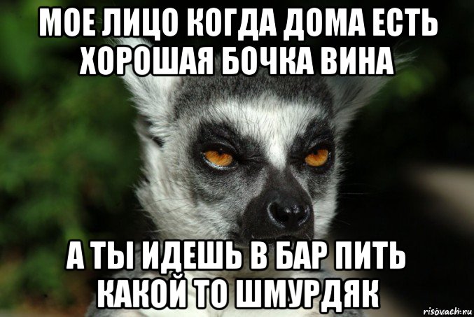 мое лицо когда дома есть хорошая бочка вина а ты идешь в бар пить какой то шмурдяк, Мем   Я збагоен