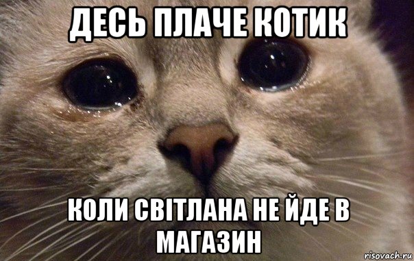 десь плаче котик коли світлана не йде в магазин, Мем   В мире грустит один котик