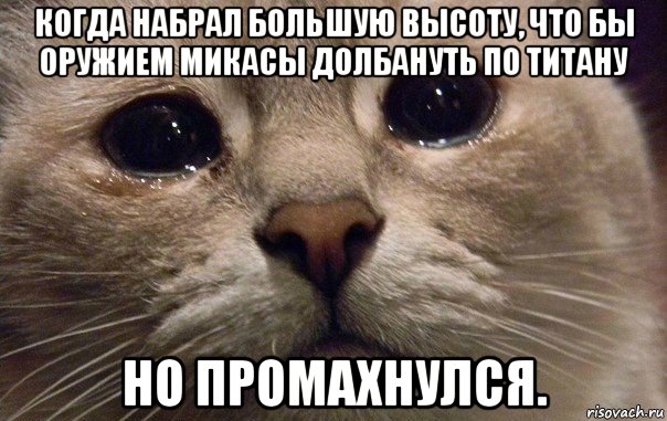 когда набрал большую высоту, что бы оружием микасы долбануть по титану но промахнулся., Мем   В мире грустит один котик