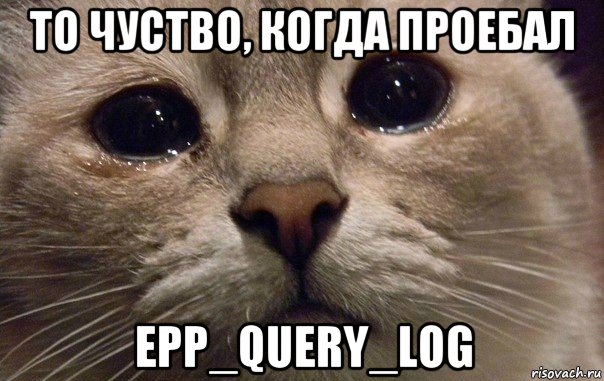 то чуство, когда проебал epp_query_log, Мем   В мире грустит один котик