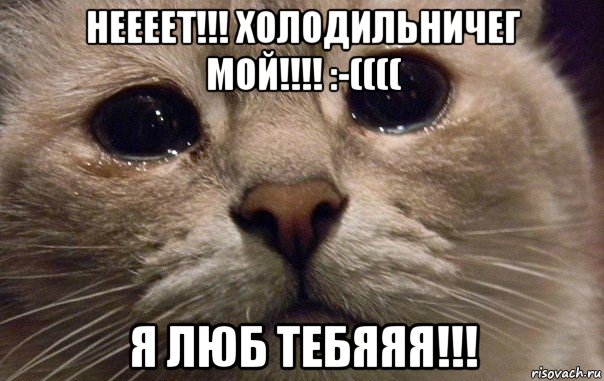 неееет!!! холодильничег мой!!!! :-(((( я люб тебяяя!!!, Мем   В мире грустит один котик