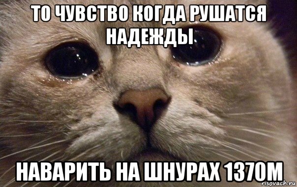 то чувство когда рушатся надежды наварить на шнурах 1370м, Мем   В мире грустит один котик