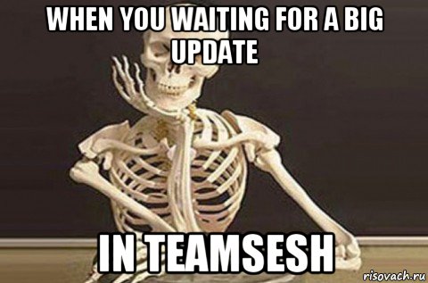 when you waiting for a big update in teamsesh, Мем  в ожидании ответа