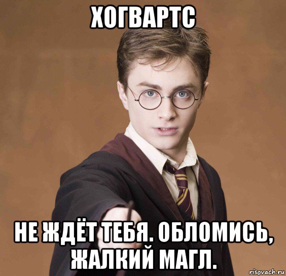 Магл. Магл из Гарри Поттера. Жалкий магл. Магл Мем. Надо верить в магию мерзкий магл.