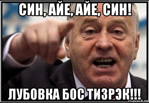 син, айе, айе, син! лубовка бос тизрэк!!!, Мем жириновский ты