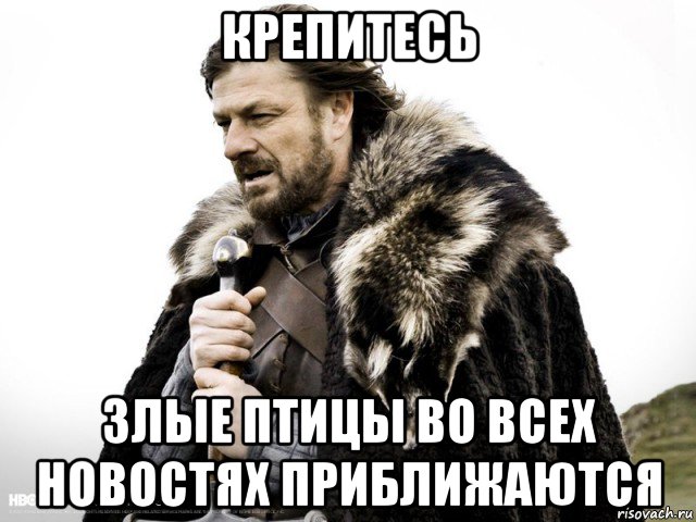 крепитесь злые птицы во всех новостях приближаются, Мем Зима близко крепитесь (Нед Старк)