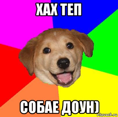 хах теп собае доун), Мем Advice Dog