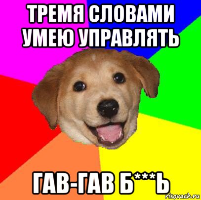 тремя словами умею управлять гав-гав б***ь, Мем Advice Dog