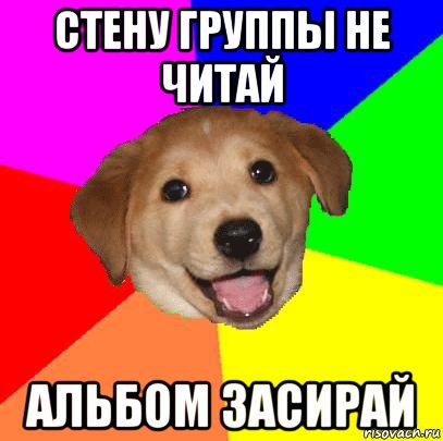 стену группы не читай альбом засирай, Мем Advice Dog