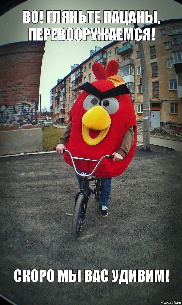 Во! гляньте пацаны, перевооружаемся! Скоро мы Вас удивим!, Комикс  Angry bird на велике