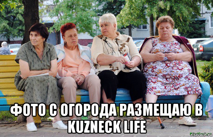  фото с огорода размещаю в kuzneck life, Мем Бабушки на скамейке