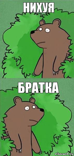 нихуя братка