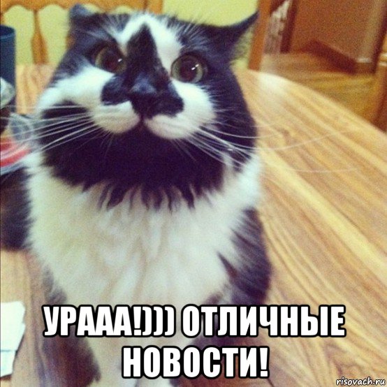  урааа!))) отличные новости!, Мем  довольный кот