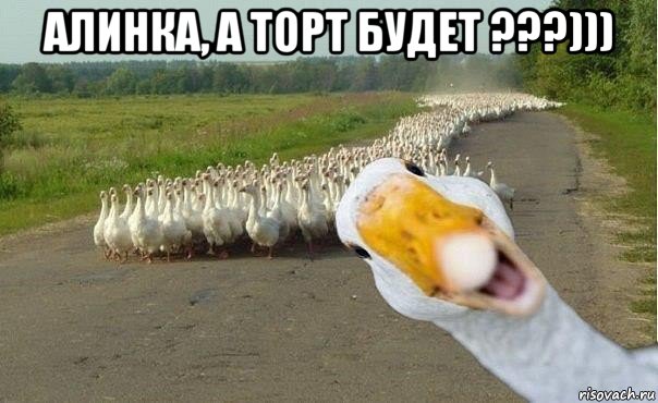 алинка, а торт будет ???))) , Мем гуси