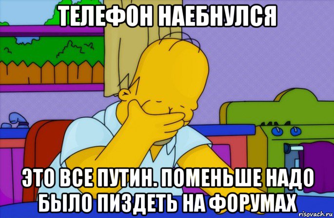 телефон наебнулся это все путин. поменьше надо было пиздеть на форумах, Мем Homer simpson facepalm