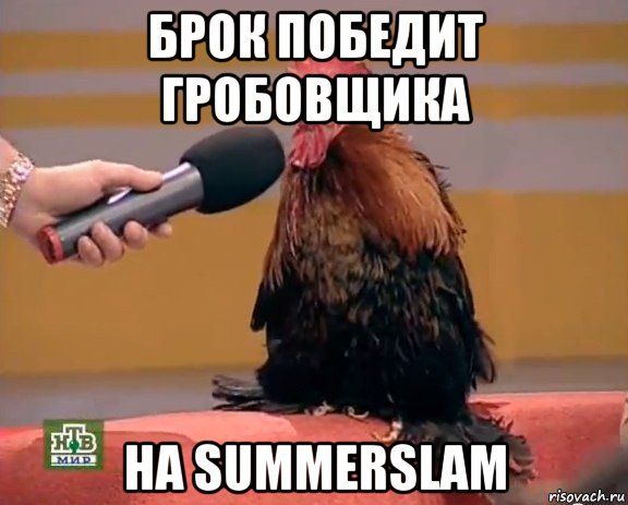 брок победит гробовщика на summerslam, Мем Интервью с петухом