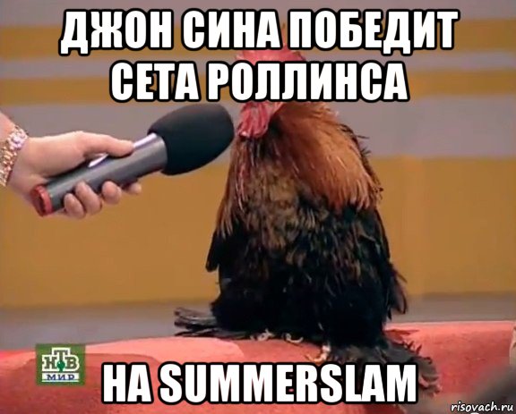 джон сина победит сета роллинса на summerslam, Мем Интервью с петухом