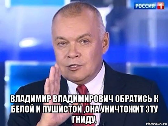  владимир владимирович обратись к белой и пушистой ,она уничтожит эту гниду., Мем Киселёв 2014