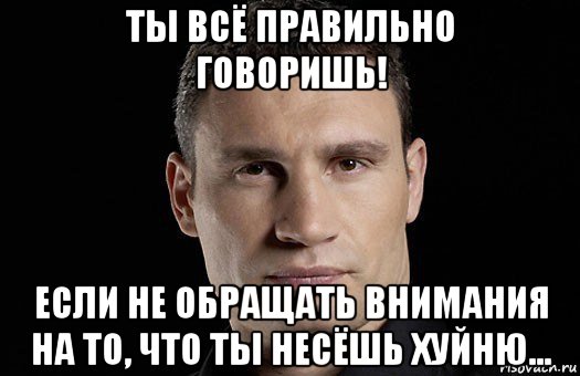 ты всё правильно говоришь! если не обращать внимания на то, что ты несёшь хуйню..., Мем Кличко