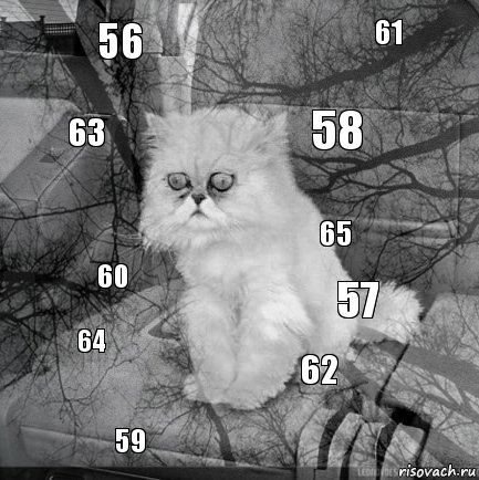 56 57 58 59 60 61 62 63 64 65, Комикс  кот безысходность