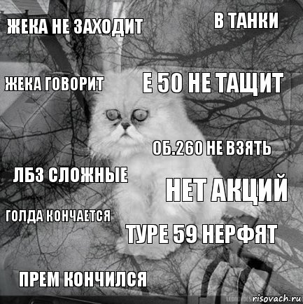 Жека не заходит Нет акций Е 50 не тащит Прем кончился ЛБЗ сложные В танки Туре 59 нерфят Жека говорит Голда кончается Об.260 не взять, Комикс  кот безысходность