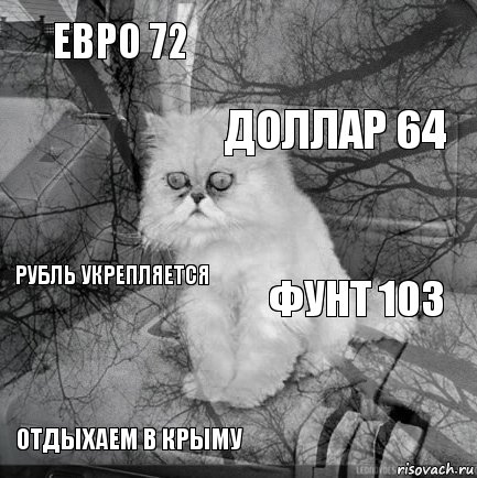 Евро 72 Фунт 103 Доллар 64 Отдыхаем в крыму Рубль укрепляется     , Комикс  кот безысходность