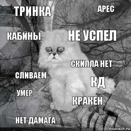 Тринка КД Не успел Нет Дамага Сливаем Арес Кракен Кабины Умер Скилла нет, Комикс  кот безысходность